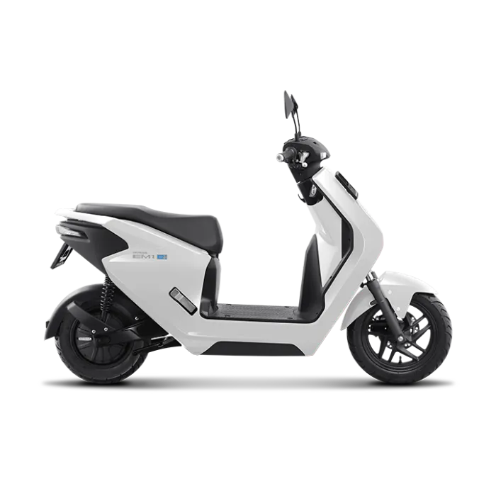 EM1